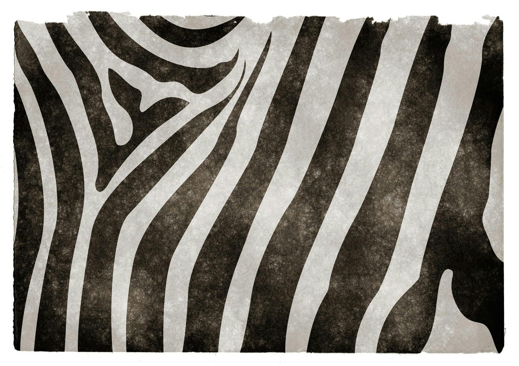 Free stock photo of texture, zebra crossing