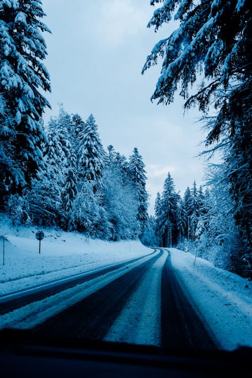 Through car windshield frozen roadway running among coniferous snowy woods on cold winter day