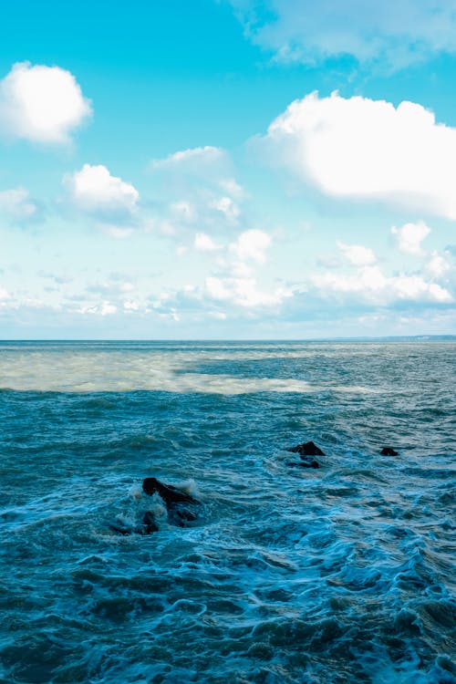 Foto profissional grátis de à beira-mar, água, água do mar