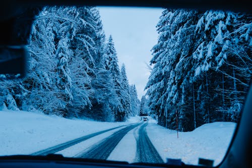 Through windshield snowy road in frozen forest