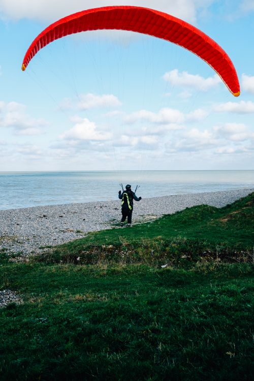 Free Back view anonymous paraglider landing on grassy seashore near endless scenic sea under clear blue sky Stock Photo