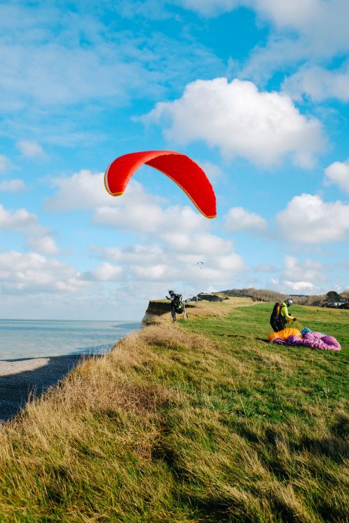 Free Full length anonymous paragliders landing on lush grassy seashore under clear blue sky Stock Photo