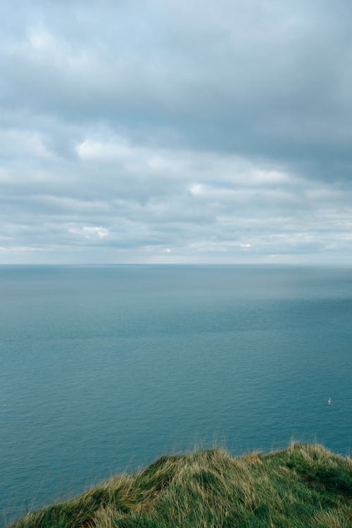 Free Coast with fresh verdant grass washed by calm water of rippling ocean under cloudy sky Stock Photo