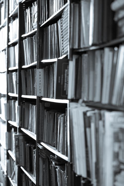 Free Grayscale view of packed library shelves filled with books in a vertical alignment. Stock Photo