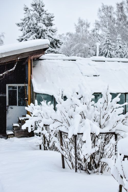 Free A serene winter scene of a snow-covered house and trees in Estonia, capturing the essence of a peaceful snowy day. Stock Photo