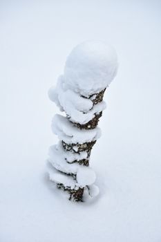 Close-up of a snow-covered wooden post highlighting frosty textures and shapes.