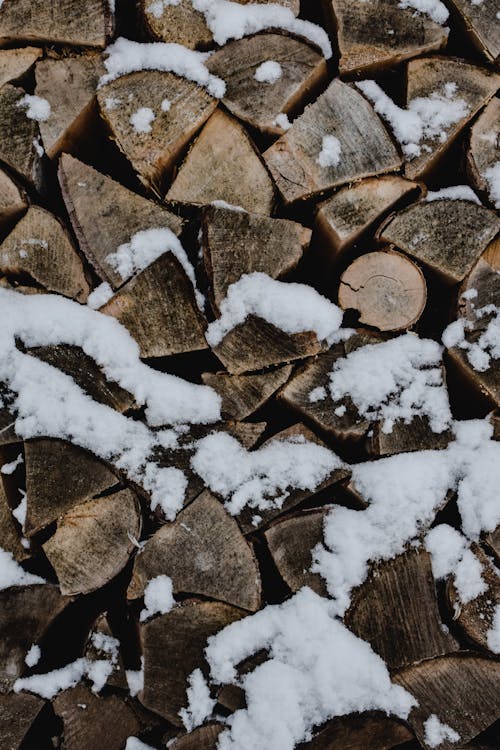 ฟรี คลังภาพถ่ายฟรี ของ กองไม้, ยิงแนวตั้ง, หิมะ คลังภาพถ่าย