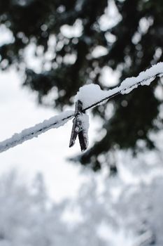 A snow-covered clothespin hangs on a line, capturing the essence of winter in Estonia.