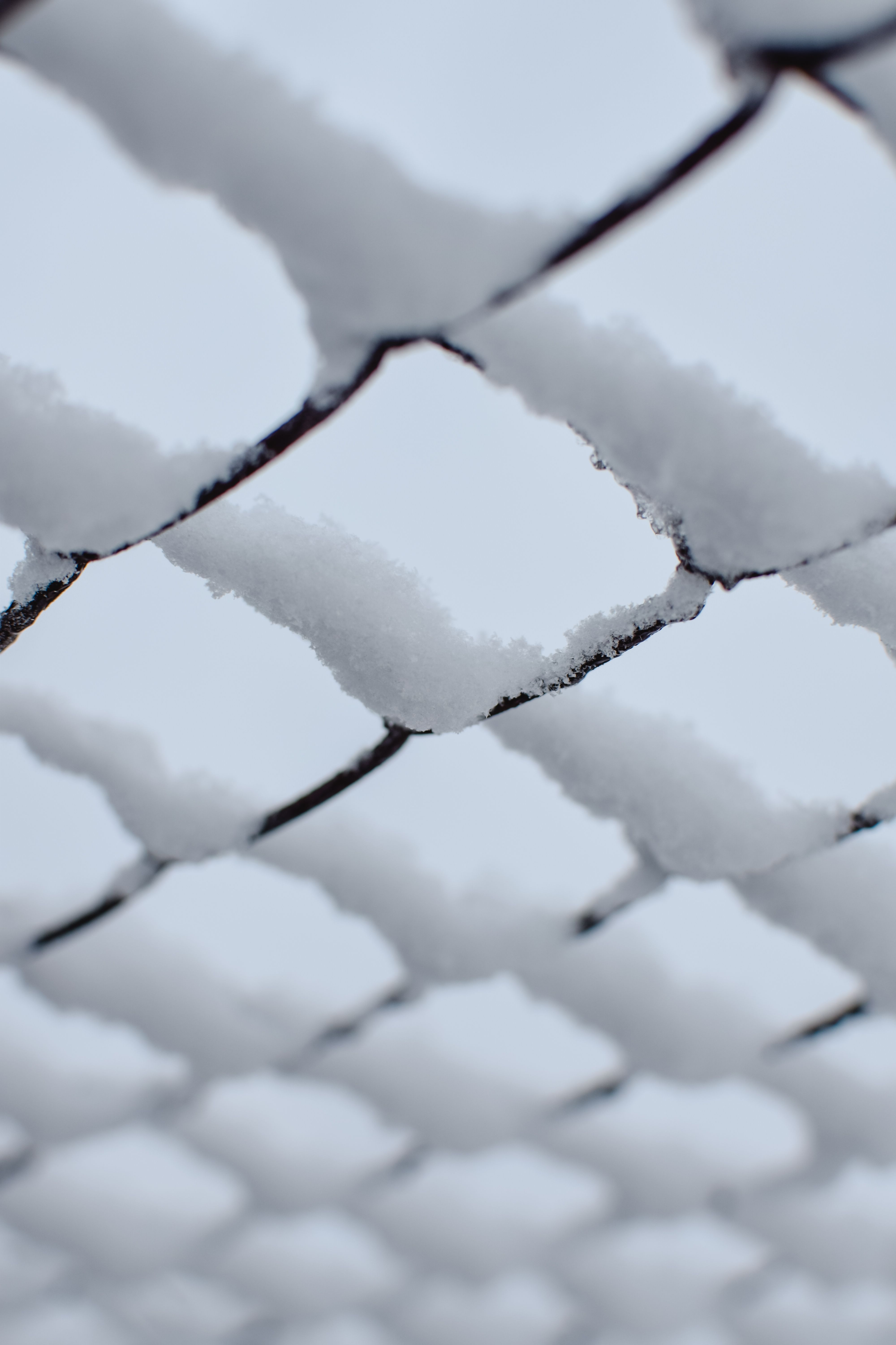 A Snow Covered Metal Fence · Free Stock Photo