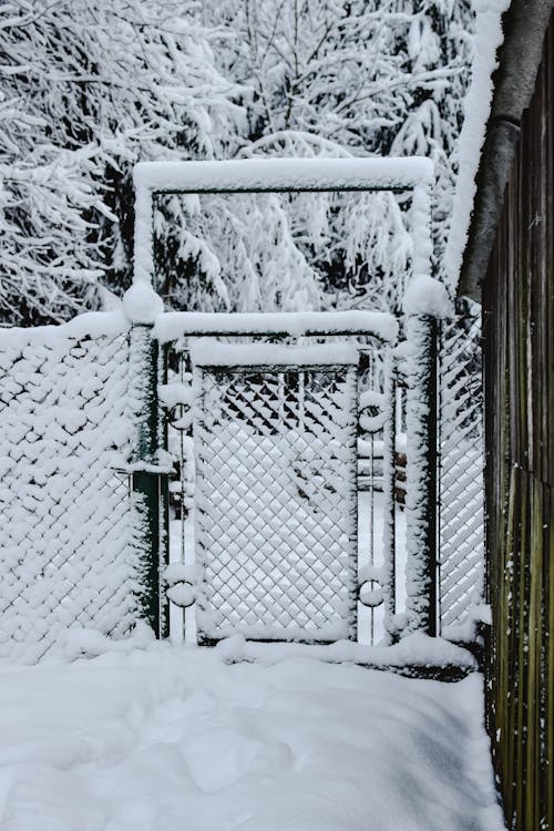 Photos gratuites de barrière, couvert de neige, enneigé