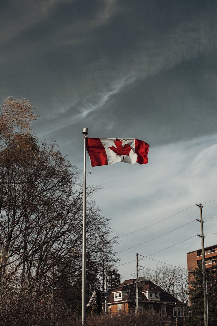 Low Angle Shot Of Waving Canadian Flag 