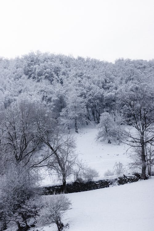 Imagine de stoc gratuită din acoperit de nori, anotimp, apă