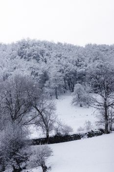 Amazing landscape of narrow stony river flowing through snowy terrain with leafless trees covered with hoarfrost under cloudy sky