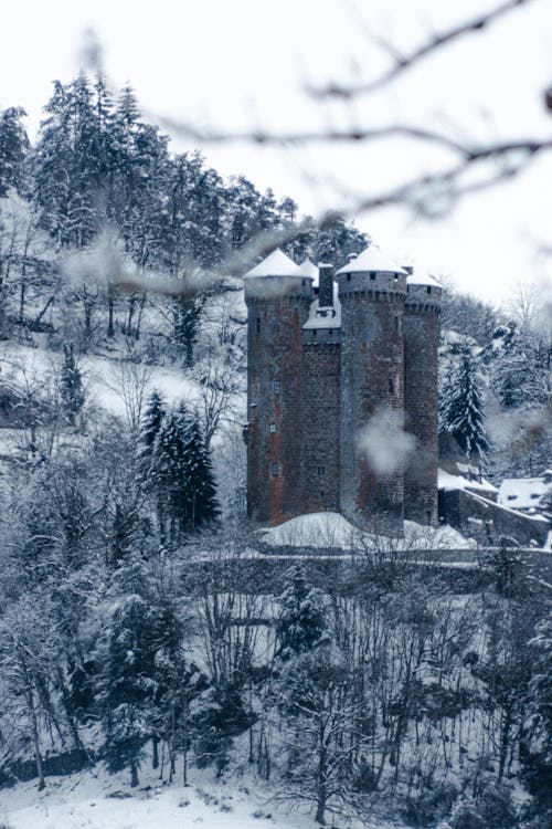 Old stone castle surrounded by coniferous trees in snowy forest on cloudy winter day