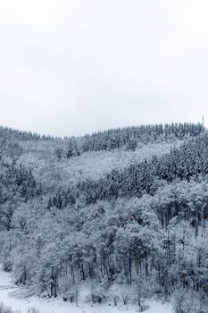 Majestic scenery of leafless trees covered with frost growing in forest on snowy mountain slope against gray cloudy sky