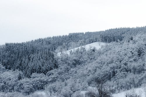 Imagine de stoc gratuită din acoperit de nori, alpin, anotimp