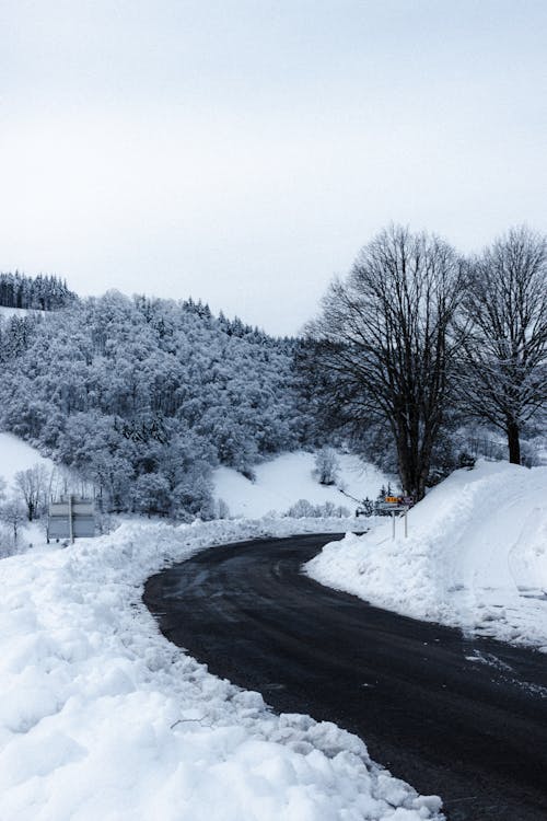 Curvy asphalt road near forest in snow in cold winter weather under gray sky