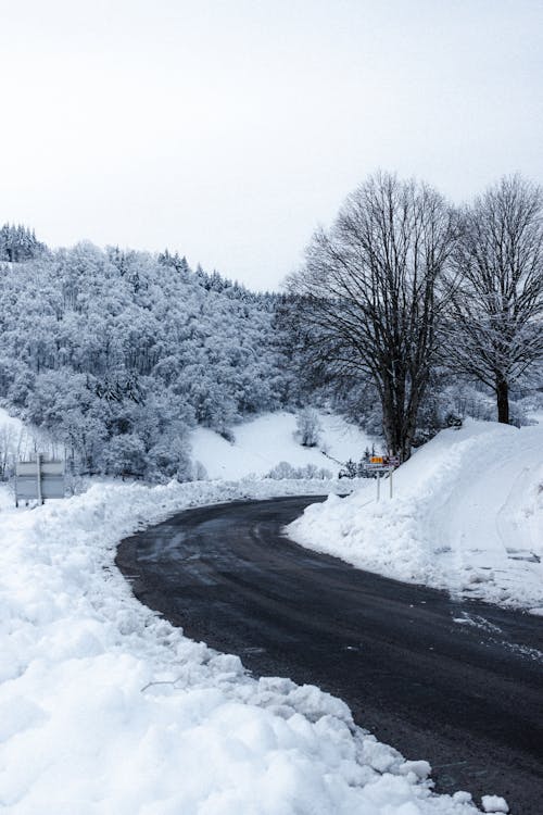 Narrow asphalt curvy roadway running through snowy terrain with snowdrifts and coniferous trees covered with hoarfrost in rural area during winter time