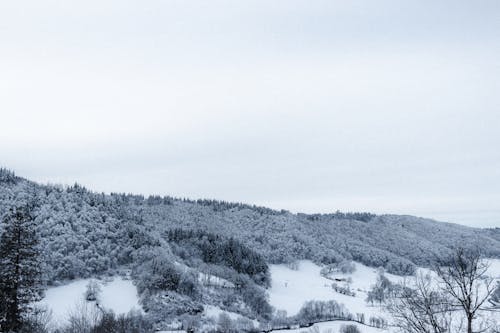 Gratis stockfoto met berg, bevriezen, bevroren