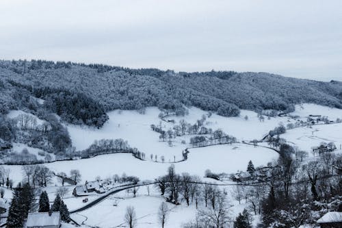 Small settlement near snowy forest