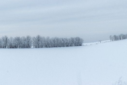 Scenic view of snowy meadow with dry trees under white sky in countryside on winter day