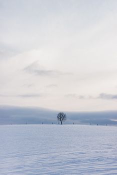Picturesque view of leafless tree in countryside field with snow against mountains under cloudy sky