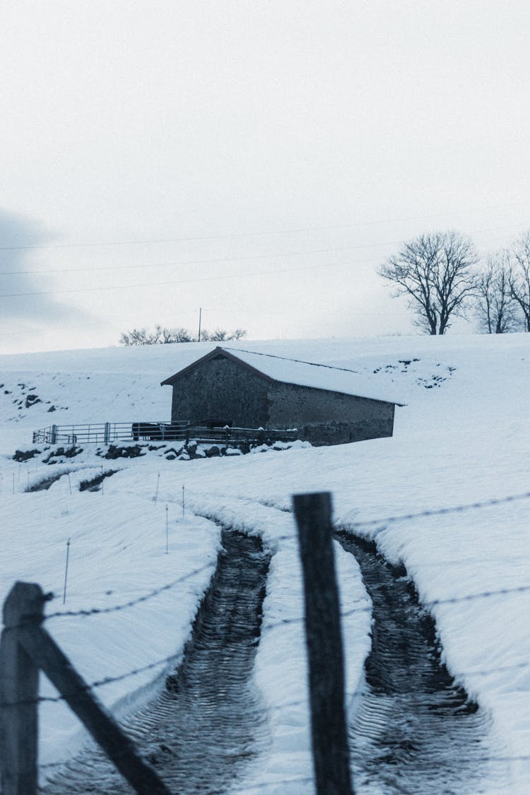 Old Barn Facade Against Snowy Road In Countryside