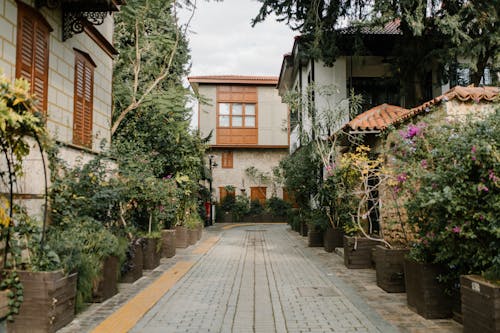 Walkway between Residential Houses