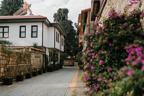 Walkway between Residential Houses