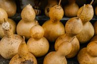 From above of dried calabash fruits arranged on shabby stall in local outdoor market on sunny day