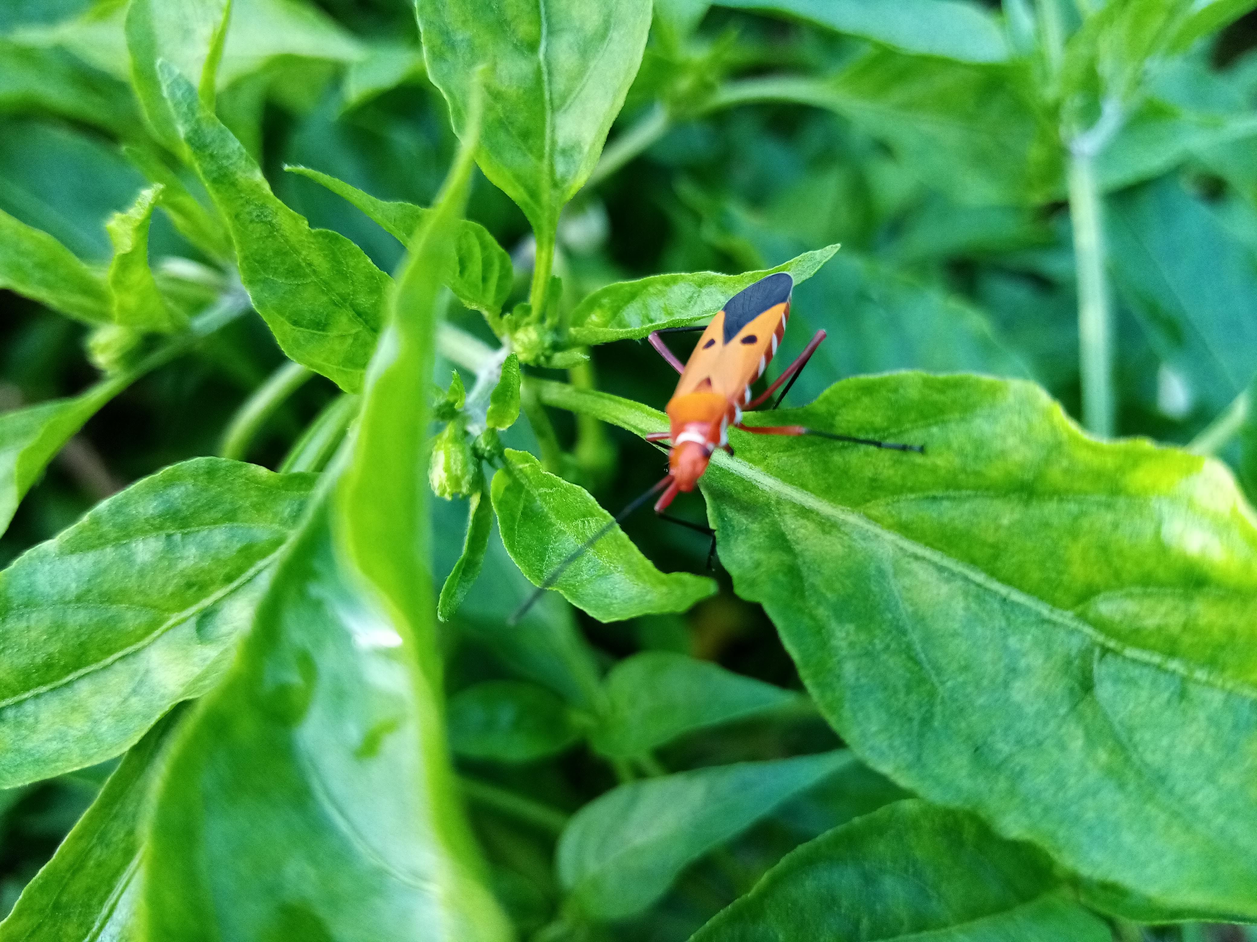 Free stock photo from Ferdie · Pexels