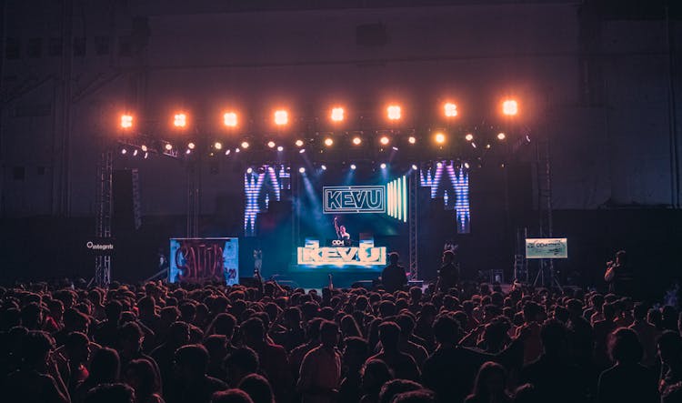 
A DJ Performing In A Concert