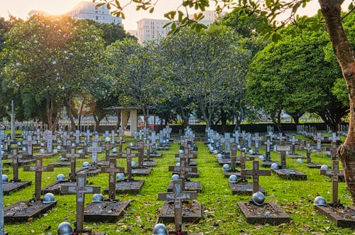 Cemetery with gravestones and green trees