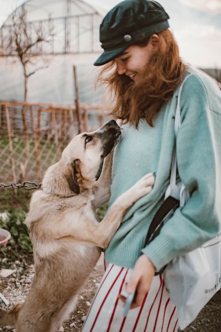 A happy dog greets a smiling woman outdoors, conveying friendship and joy.