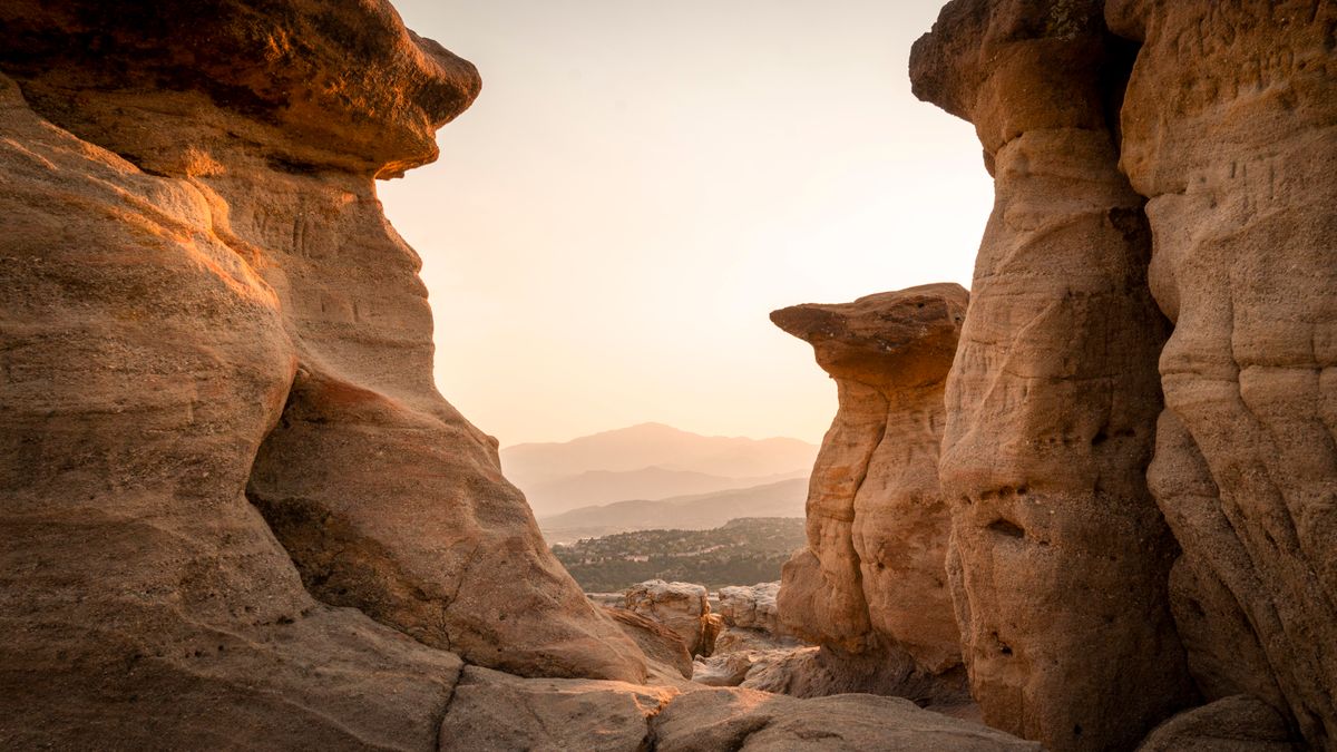 Best Family Giveaways in Colorado Springs, CO: 2026 Local Guide