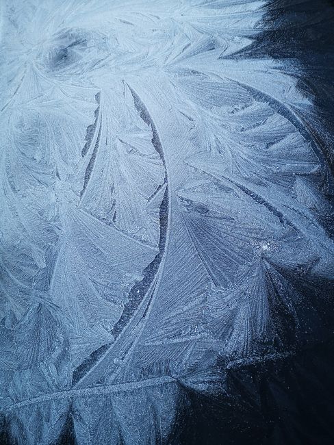 A close-up view of detailed frost patterns forming intricate designs on a glass surface.