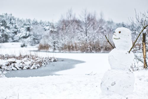 gratis Sneeuwman Op Met Sneeuw Bedekte Grond Stockfoto