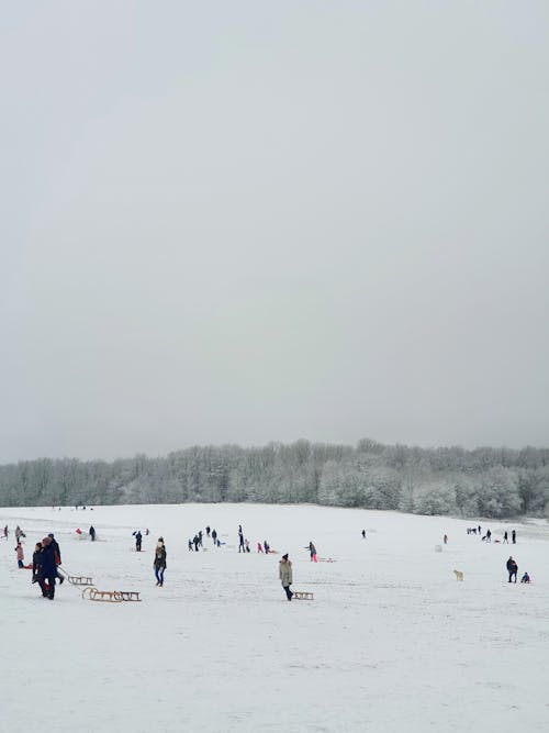 Ilmainen kuvapankkikuva tunnisteilla kävely, lumi, nauttiminen