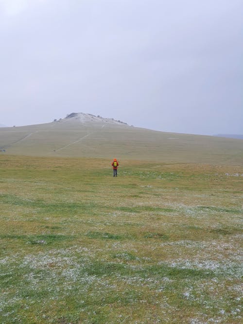 Person in Red Jacket on Meadow