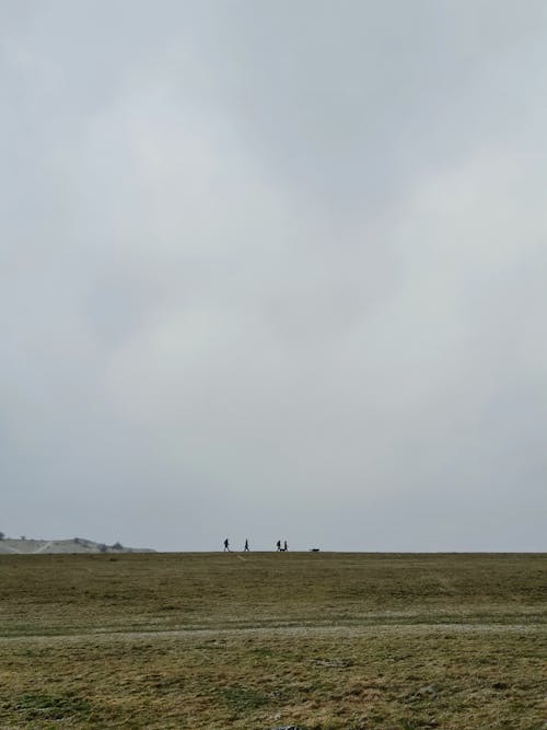 Бесплатное стоковое фото с hoher dörnberg, ветер, дикая природа