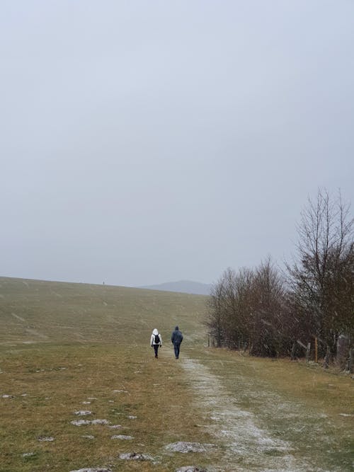 A Long Shot Of Two People Walking