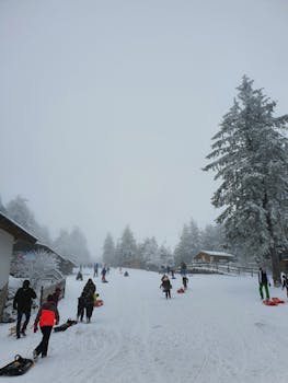 People sledding on a snow-covered hill in Poppenhausen, Germany, enjoying winter fun.
