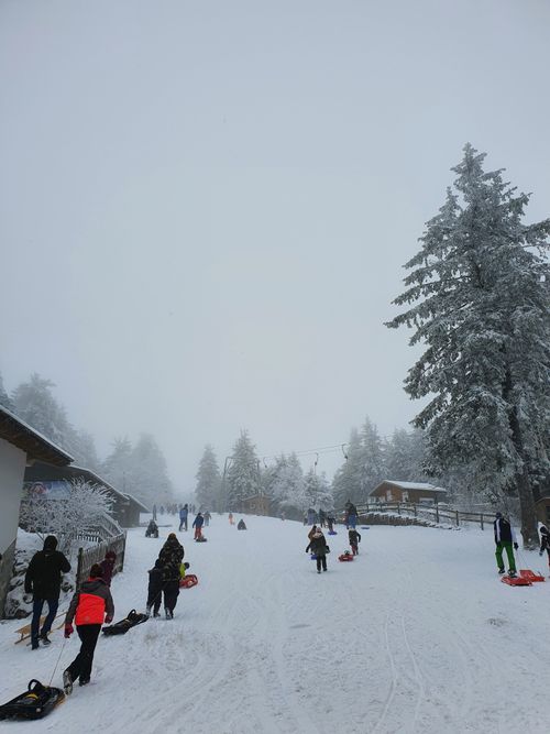 Free People sledding on a snow-covered hill in Poppenhausen, Germany, enjoying winter fun. Stock Photo