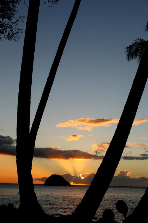 Free Stunning sunset over the ocean with silhouetted palm trees and a distant island. Stock Photo