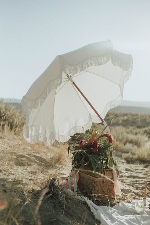 Small wicker basket with fresh wildflowers under white umbrella left on sandy beach in sunny day