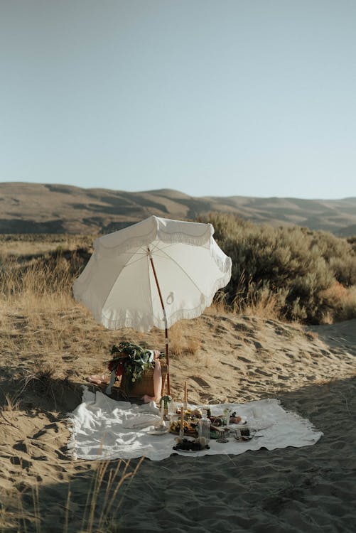 Free Food and drinks on blanket prepared for picnic in countryside Stock Photo