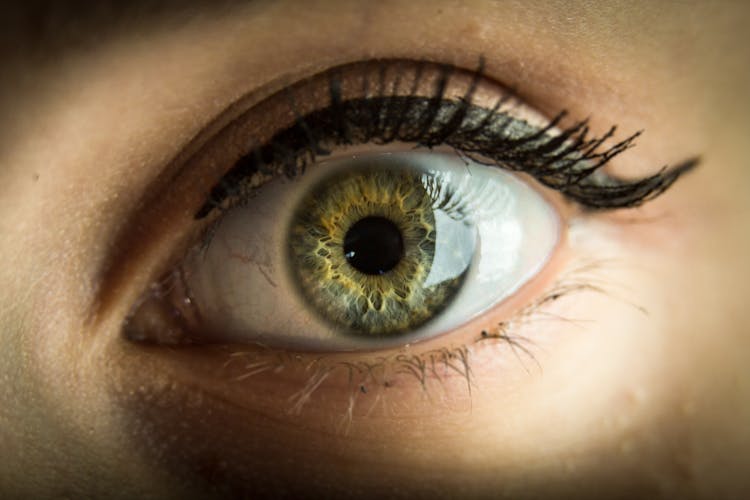 Close-up Of A Green Eye Of A Woman 