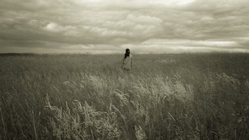Free A Person Walking in the Grass Field Stock Photo