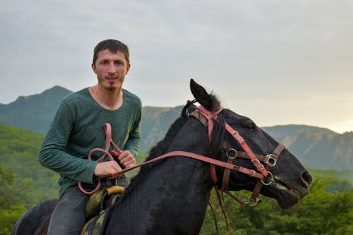 Základová fotografie zdarma na téma drezura, farmářské zvíře, jezdec na koni