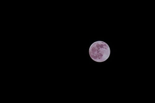 Free Full Moon in the Dark Sky Stock Photo